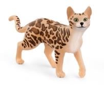 Opakowanie Kot bengalski