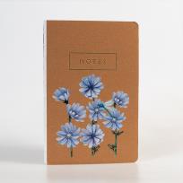 Opakowanie Notes Kwiaty Polskie Cykoria KPL 6