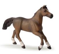 Okładka książki Papo Klacz rasy angloarabskiej (51075)