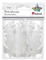 Opakowanie Piórka curly białe 6szt