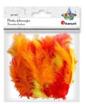 Opakowanie Piórka puch indyk mix kolorów 50szt