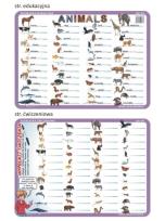 Opakowanie Podkładka edu. 04 - Animals - język angielski