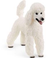 Opakowanie Pudel duży