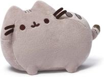 Opakowanie Pusheen 30cm