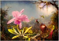 Opakowanie Puzzle 1000 Orchidea Cattleya i trzy kolibry