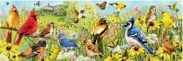 Opakowanie Puzzle 1000 Ptaki w ogrodzie, Panorama