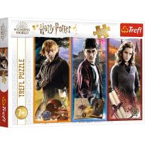 Opakowanie Puzzle 200 W świecie magii i czarów Harry Potter 13277