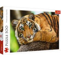 Opakowanie Puzzle 500 Portret tygrysa 37397