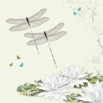 Opakowanie Karnet Swarovski kwadrat CL0503 Ważki