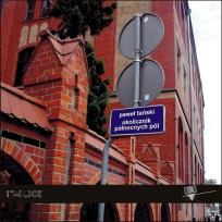 Okładka książki Okolicznik północnych pól / Forma