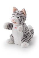 Opakowanie Pacyka Kotek