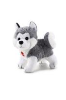 Opakowanie Sweet Collection Husky