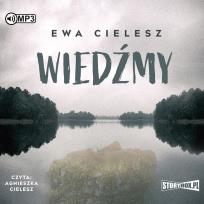 Okładka książki Wiedźmy audionook - Audiobook