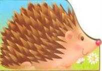 Okładka książki Wykrojnik - Jeż FK