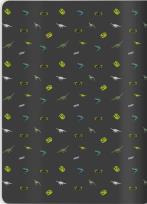 Opakowanie Zeszyt A5/32K kratka Dino (10szt)