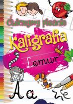 Okładka książki Ćwiczymy pisanie kaligrafia