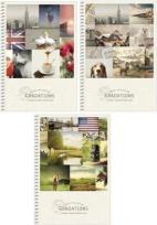 Opakowanie Kołonotes A5 /96 kartkowy w kratkę. Seria 914K.  Skolarik (mix wzorów)