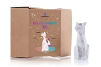 Opakowanie Kolorowanka 3D Kot Low Poly