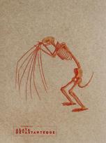 Opakowanie Notes Alata Devastanteque