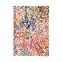 Opakowanie Notes Anemone Mini Linia