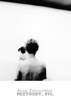 Okładka książki Przygody, etc.