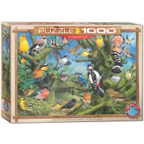 Opakowanie Puzzle 1000 Ptaki ogrodowe, Joahn Franc 6000-0967