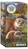 Opakowanie Puzzle 250 Wydry 8251-5558