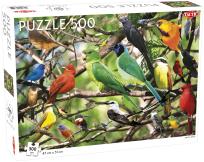 Opakowanie Puzzle Exotic Birds  500