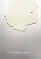 Okładka książki Żałoba po kocie