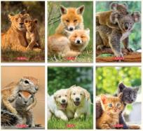 Opakowanie Zeszyt A5/16K linia podwójna Animals (10szt)