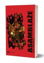 Okładka książki Asamblaże