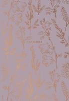 Opakowanie Brulion A5/80K kratka Gold ASTRA