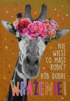 Opakowanie Brulion A5/96K kratka Geniusz-01