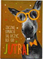 Opakowanie Brulion A5/96K kratka Geniusz-02