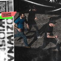 Opakowanie CD Dziwna Wiosna