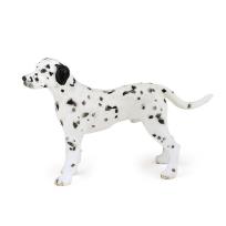 Opakowanie Dalmatyńczyk