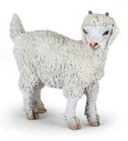 Opakowanie Koza angorska młoda