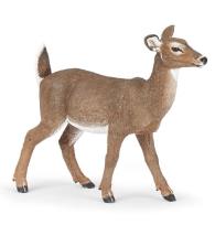 Opakowanie Łania mulaka białoogonowego