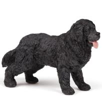 Opakowanie Nowofundland