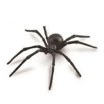 Opakowanie Pająk Czarna wdowa