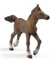 Okładka książki Papo Źrebie rasy angloarabskiej (51076)