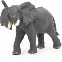 Opakowanie Słoń trąbiący