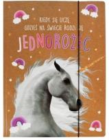 Opakowanie Teczka A4 z gumką Geniusz-03