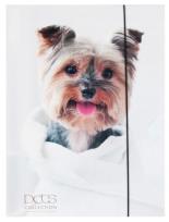 Opakowanie Teczka A4 z gumką Pets-12