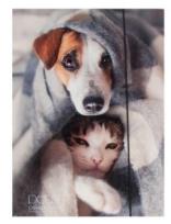 Opakowanie Teczka A4 z gumką Pets-17