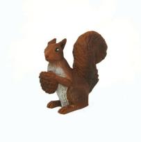 Opakowanie Wiewiorka