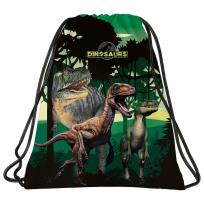 Opakowanie Worek na obuwie Dinozaur 15 DERFORM