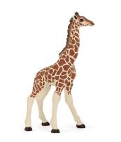 Opakowanie Żyrafa młoda