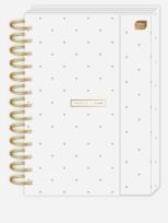 Opakowanie Album B5 25 kart matowy Terazz