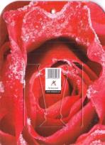 Opakowanie Artsezon Podstawka do zdzieraka